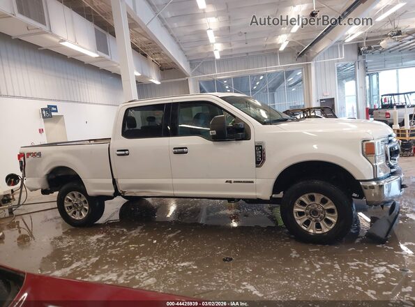 1FT7W2BT2LED60457 2020 FORD F-250 Белый Вид задней части салона