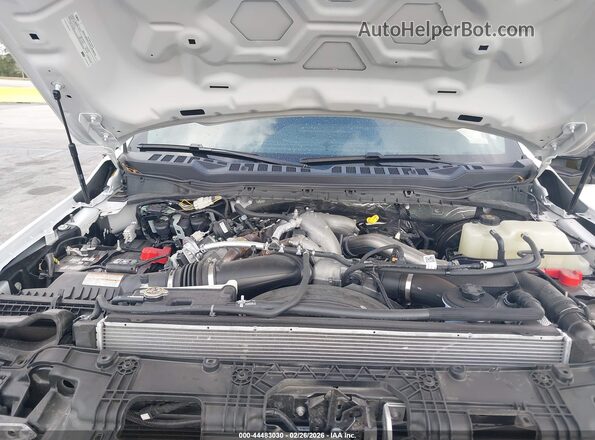 1FT7W2BT4TEC34312 2026 FORD F-250 Белый Вид сзади