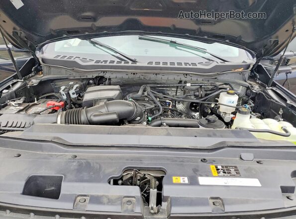 1FT8W2BN3SEC59741 2025 FORD F250 Синий Вид задней части салона