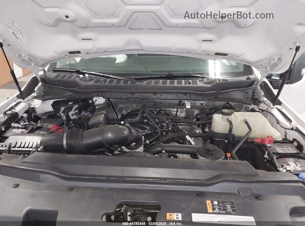 1FTBF2BA0SEE01336 2025 FORD F-250 White Widok z tyłu