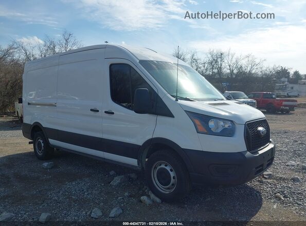 1FTBR1C80PKB51084 2023 FORD TRANSIT-250 Белый Вид задней части салона