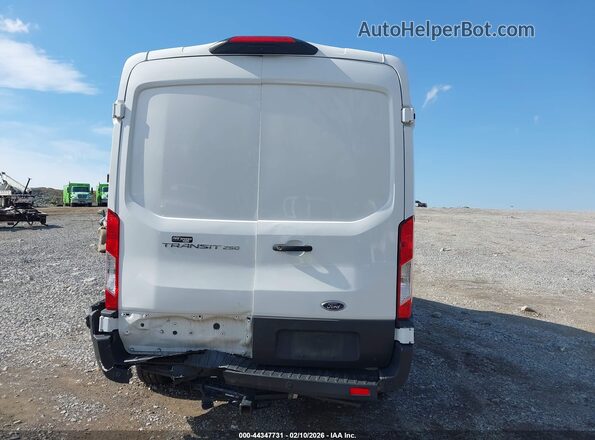 1FTBR1C80PKB51084 2023 FORD TRANSIT-250 Белый 