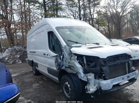1FTBR3X80PKA68566 2023 FORD TRANSIT-250 CARGO Белый Вид задней части салона
