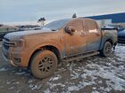 2024 Ford Ranger Xlt Blue vin: 1FTER4HH0RLE34346