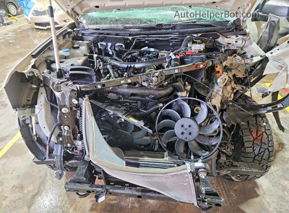 1FTER4HPXSLE41785 2025 FORD RANG Cream Widok wnętrza z tyłu