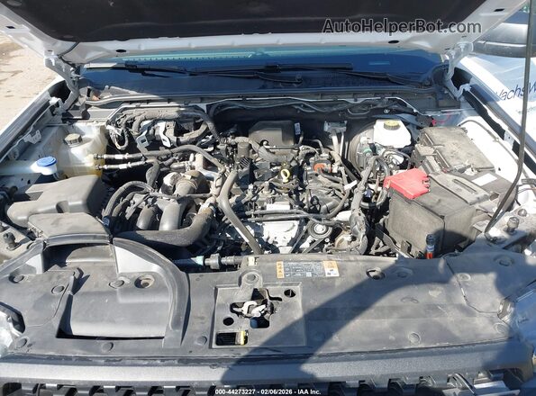 1FTER4PH6RLE21778 2024 FORD RANG Белый Вид сзади