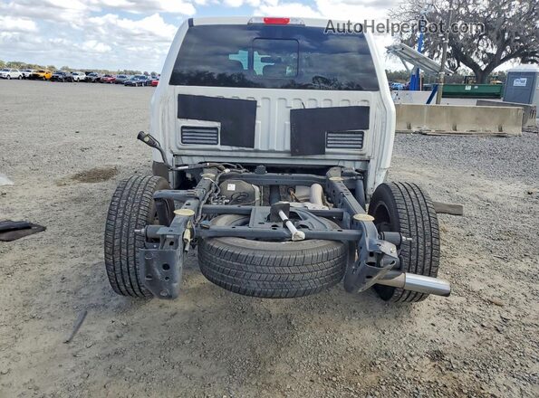 1FTEW1C42LFA54894 2020 FORD F150 Белый Вид сзади