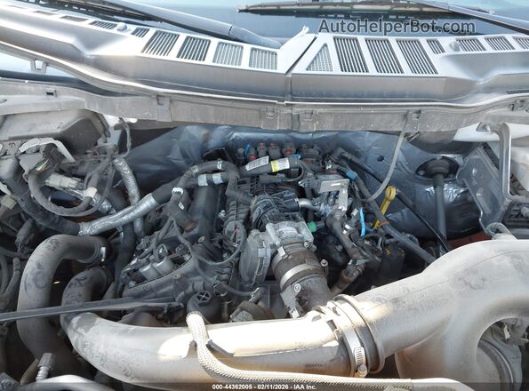 1FTEW1CP1MFC04053 2021 FORD F150 White Widok z tyłu