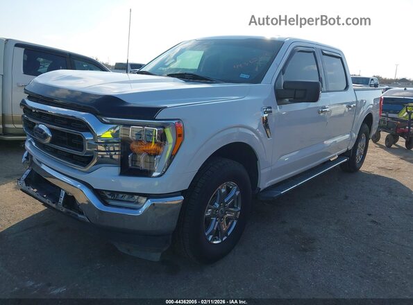 1FTEW1CP1MFC04053 2021 FORD F150 White Przód lewy