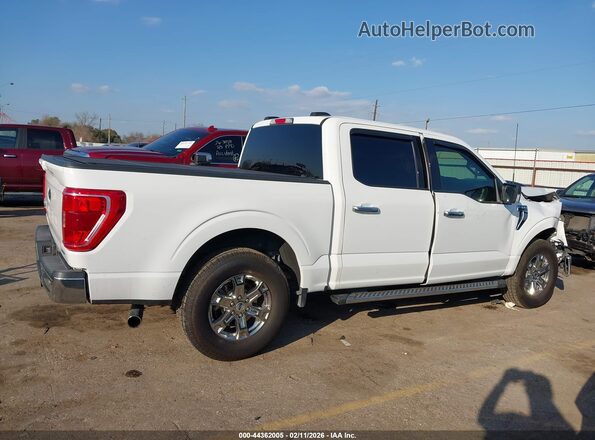 1FTEW1CP1MFC04053 2021 FORD F150 White Widok wnętrza z tyłu