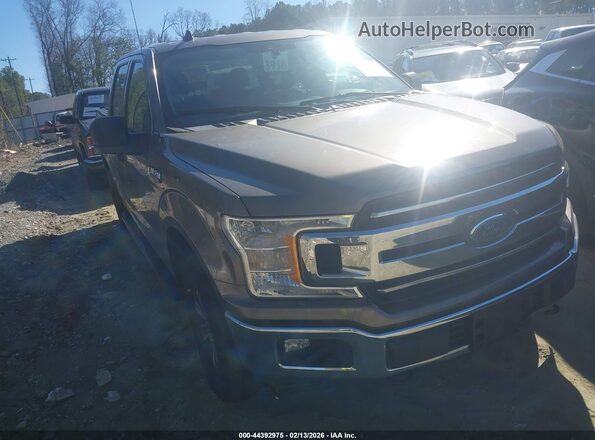 1FTEW1E59LFB35607 2020 FORD F150 Серый Передняя правая четверть