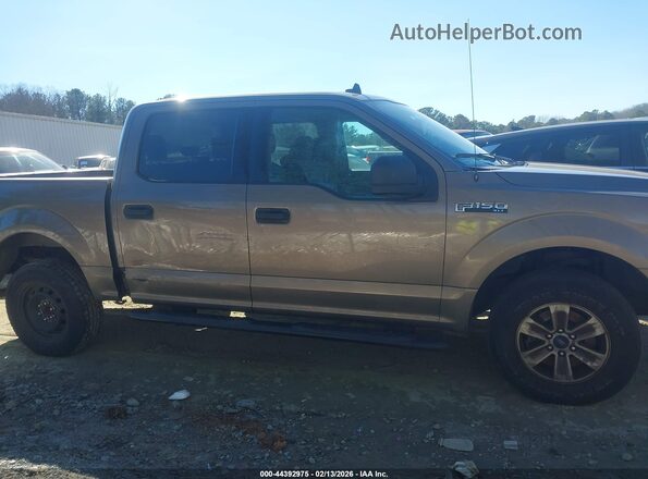 1FTEW1E59LFB35607 2020 FORD F150 Серый Вид задней части салона