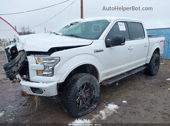 1FTEW1EF5HFC15339 2017 FORD F150 Белый Передняя левая четверть