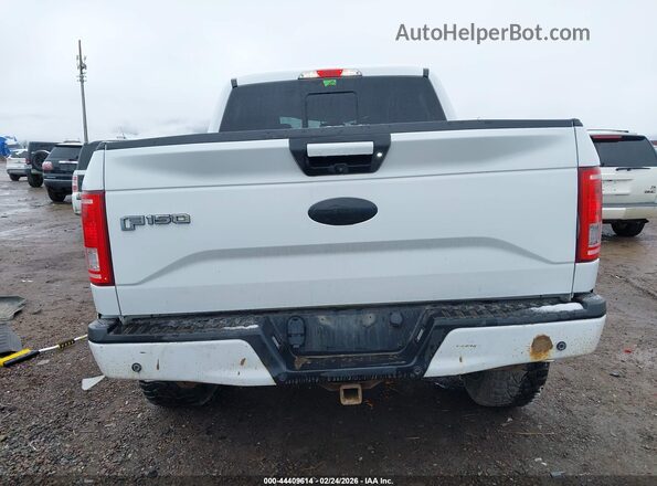 1FTEW1EF5HFC15339 2017 FORD F150 Белый 