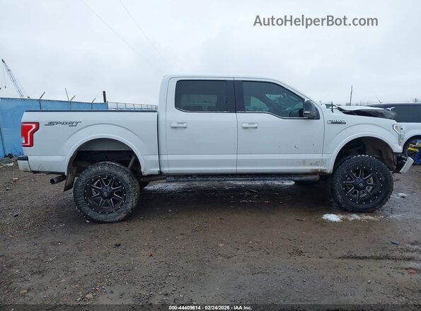 1FTEW1EF5HFC15339 2017 FORD F150 Белый Панорамный вид салона 360°