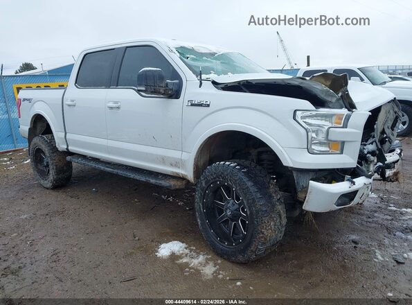 1FTEW1EF5HFC15339 2017 FORD F150 Белый Передняя правая четверть
