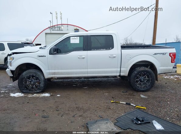 1FTEW1EF5HFC15339 2017 FORD F150 Белый 