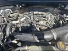 2019 Ford F-150 Xl Белый vin: 1FTEW1EP1KKC79644
