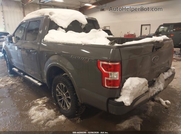 1FTEW1EP2LFB23008 2020 FORD F150 Серый Задняя левая четверть