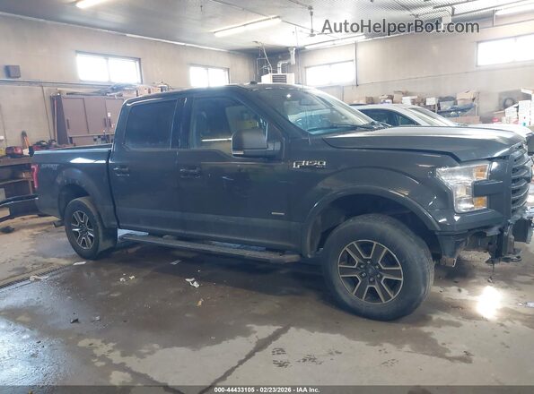1FTEW1EP8HFA72301 2017 FORD F150 Серый Панорамный вид салона 360°