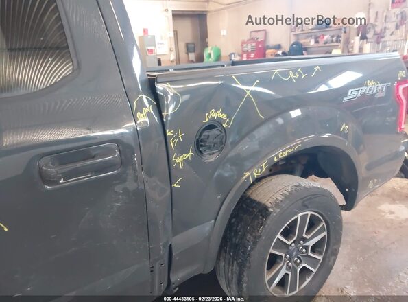 1FTEW1EP8HFA72301 2017 FORD F150 Серый 