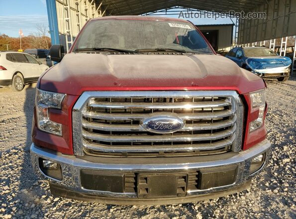 1FTEX1CF6HKD53768 2017 FORD F150 Красный Вид спереди