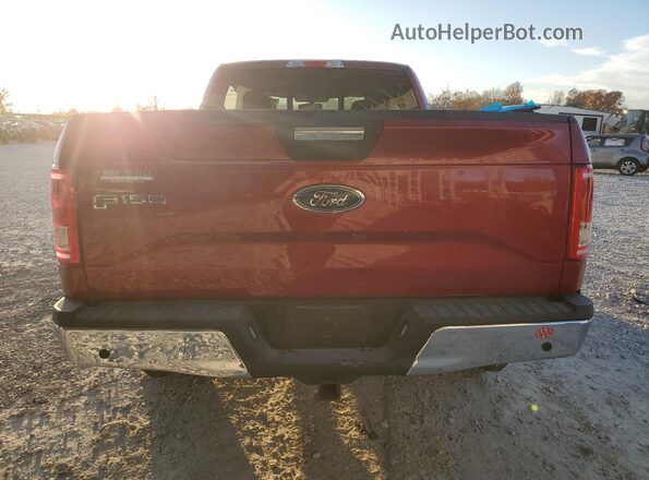 1FTEX1CF6HKD53768 2017 FORD F150 Красный Вид сзади