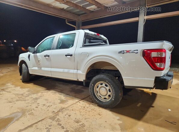 1FTFW1E50MFB02582 2021 FORD F150 Белый Задняя левая четверть