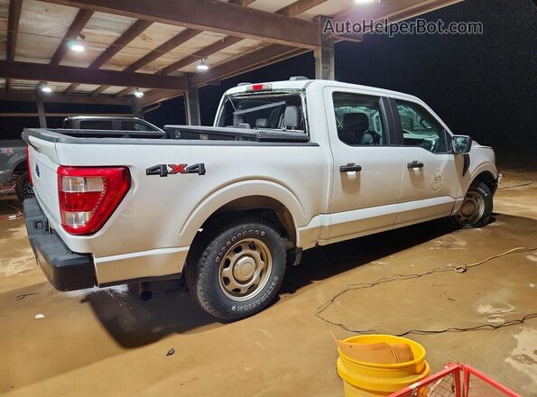 1FTFW1E50MFB02582 2021 FORD F150 Белый Задняя правая четверть