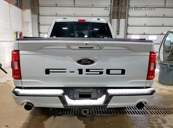 1FTFW1E55PFC97650 2023 FORD F150 Серебряный Вид сзади