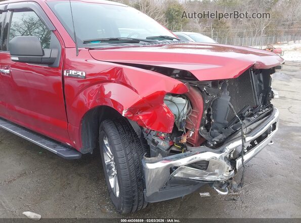 1FTFW1E56JFE55193 2018 FORD F150 Красный 