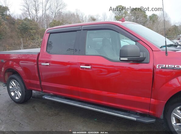 1FTFW1E56JFE55193 2018 FORD F150 Красный Вид задней части салона