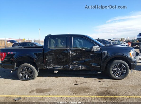 1FTFW1ED8PFB64629 2023 FORD F150 Черный Вид задней части салона