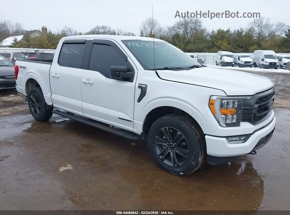 1FTFW1ED9MFB25575 2021 FORD F150 Белый Передняя правая четверть