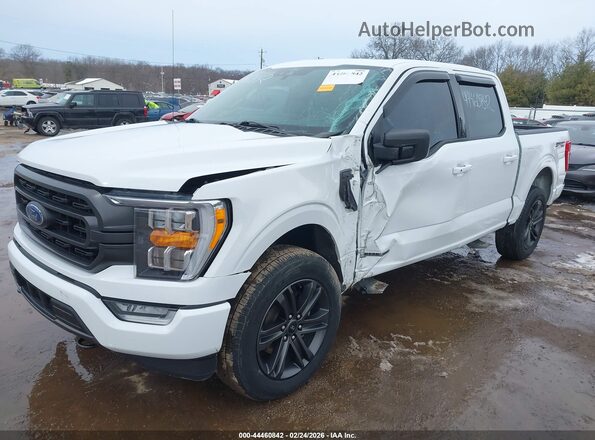 1FTFW1ED9MFB25575 2021 FORD F150 Белый Вид спереди