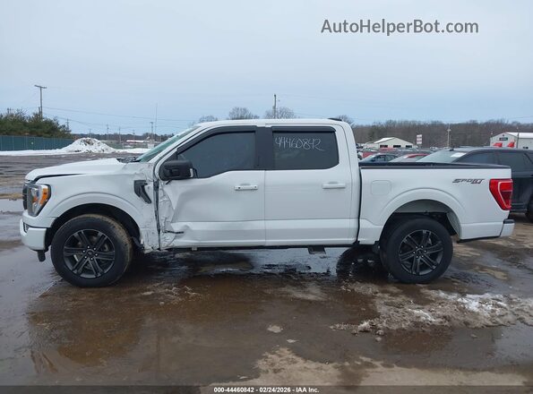 1FTFW1ED9MFB25575 2021 FORD F150 Белый 