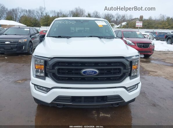 1FTFW1ED9MFB25575 2021 FORD F150 Белый Вид задней части салона