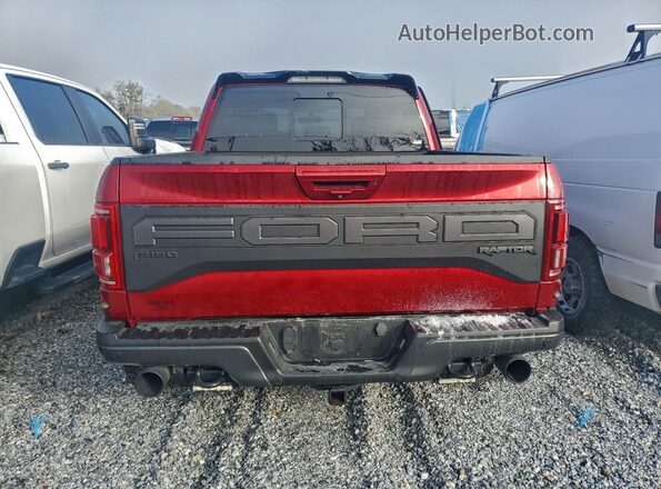 1FTFW1RG4KFB43368 2019 FORD F150 Красный Вид сзади