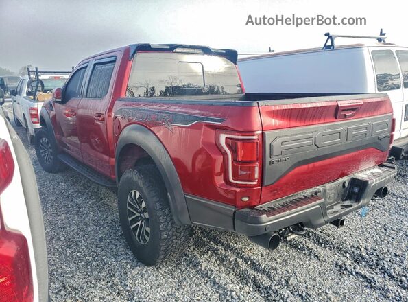 1FTFW1RG4KFB43368 2019 FORD F150 Красный Задняя левая четверть