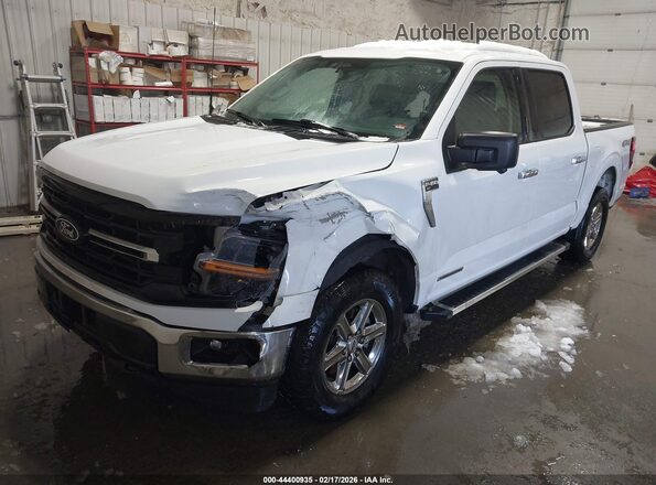 1FTFW3LD3RFA62706 2024 FORD F150 Белый Передняя левая четверть