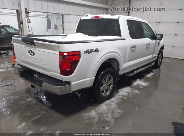 1FTFW3LD3RFA62706 2024 FORD F150 Белый Задняя правая четверть