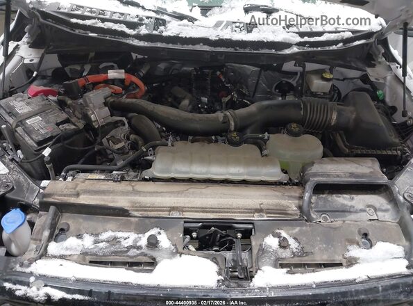 1FTFW3LD3RFA62706 2024 FORD F150 Белый Вид сзади