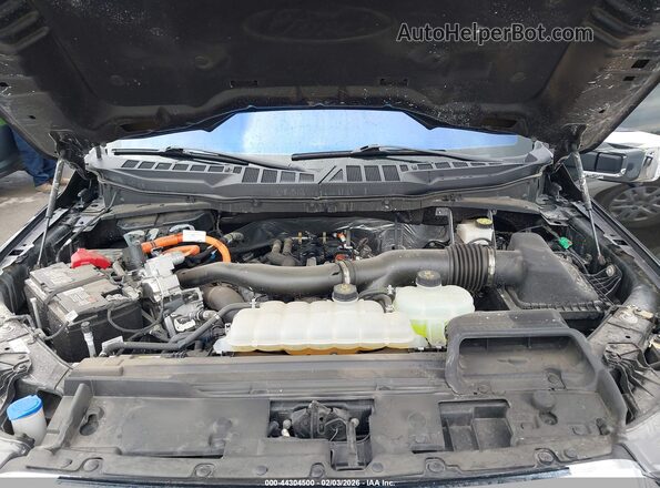 1FTFW5LD4RFB80324 2024 FORD F150 Черный Вид сзади