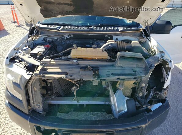 1FTMF1C85GKD87117 2016 FORD F150 Белый Вид задней части салона