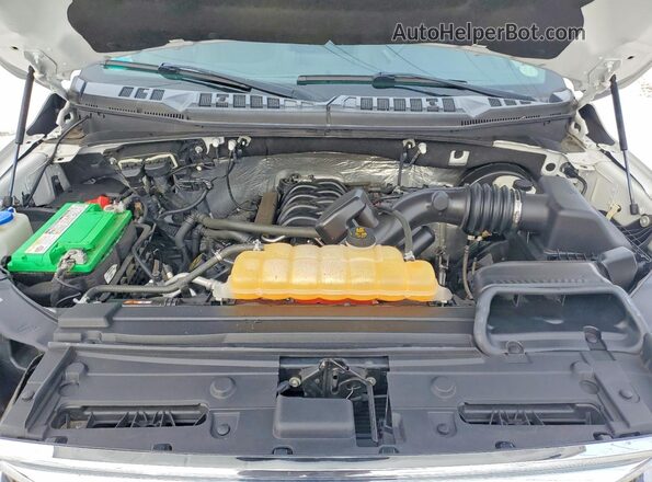 1FTMF1CF2GFD11975 2016 FORD F150 Белый Вид задней части салона