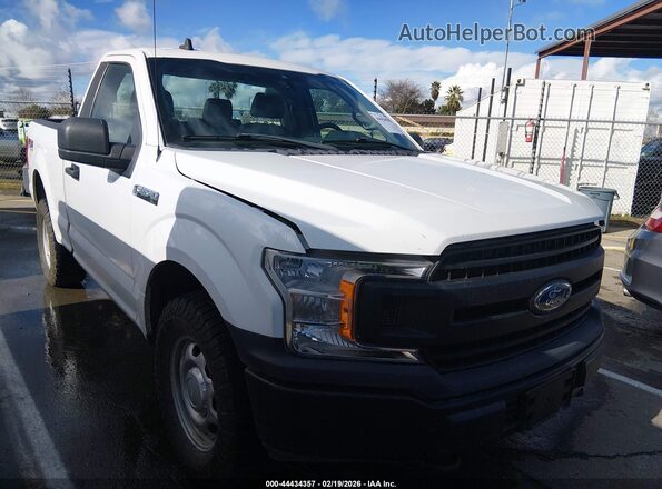 1FTMF1E59LFB71079 2020 FORD F150 Белый Передняя правая четверть
