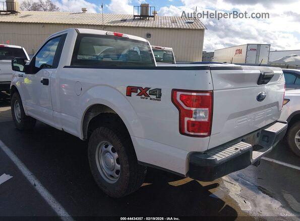 1FTMF1E59LFB71079 2020 FORD F150 Белый Задняя левая четверть