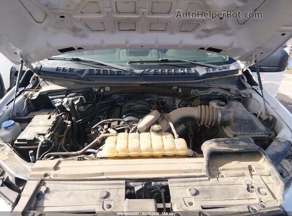 1FTMF1E59LFB71079 2020 FORD F150 Белый Вид сзади