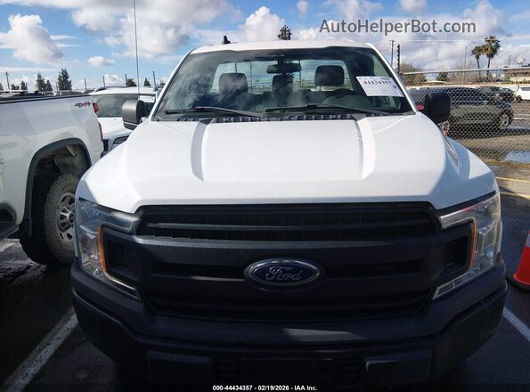 1FTMF1E59LFB71079 2020 FORD F150 Белый Вид задней части салона