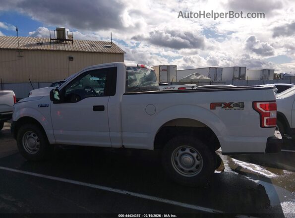 1FTMF1E59LFB71079 2020 FORD F150 Белый 